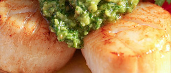 Scallops